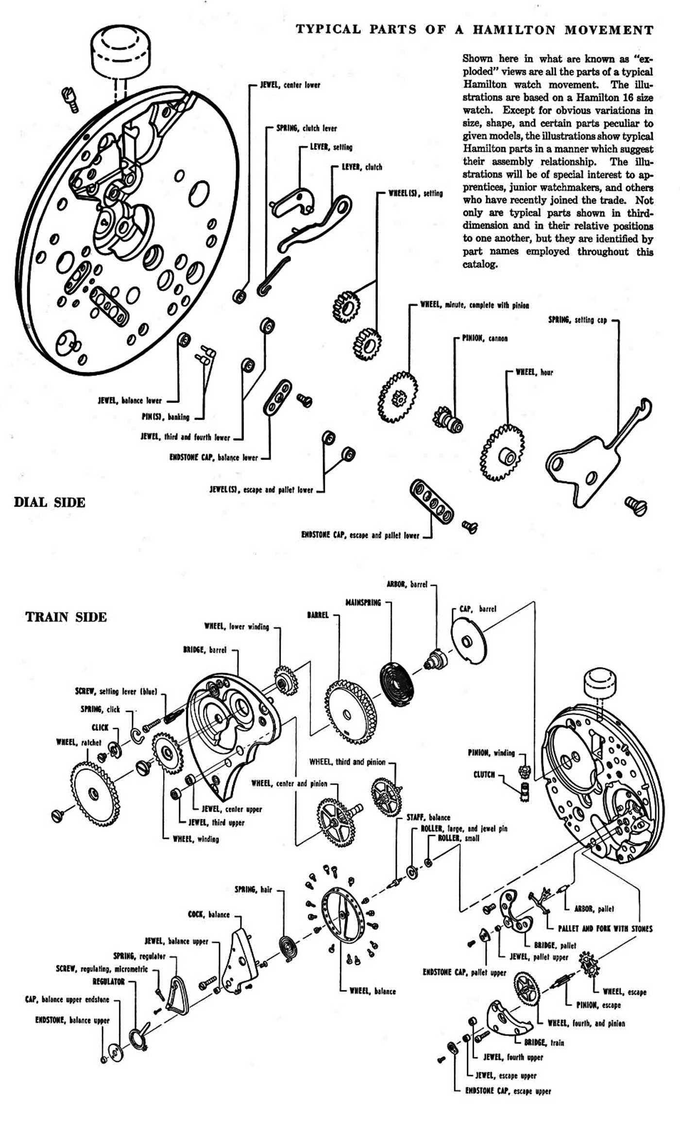 watch movement parts diagram