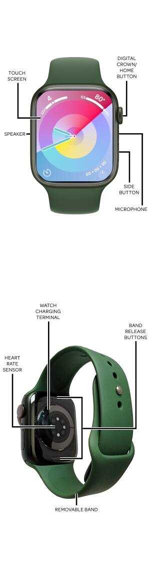 watch parts diagram