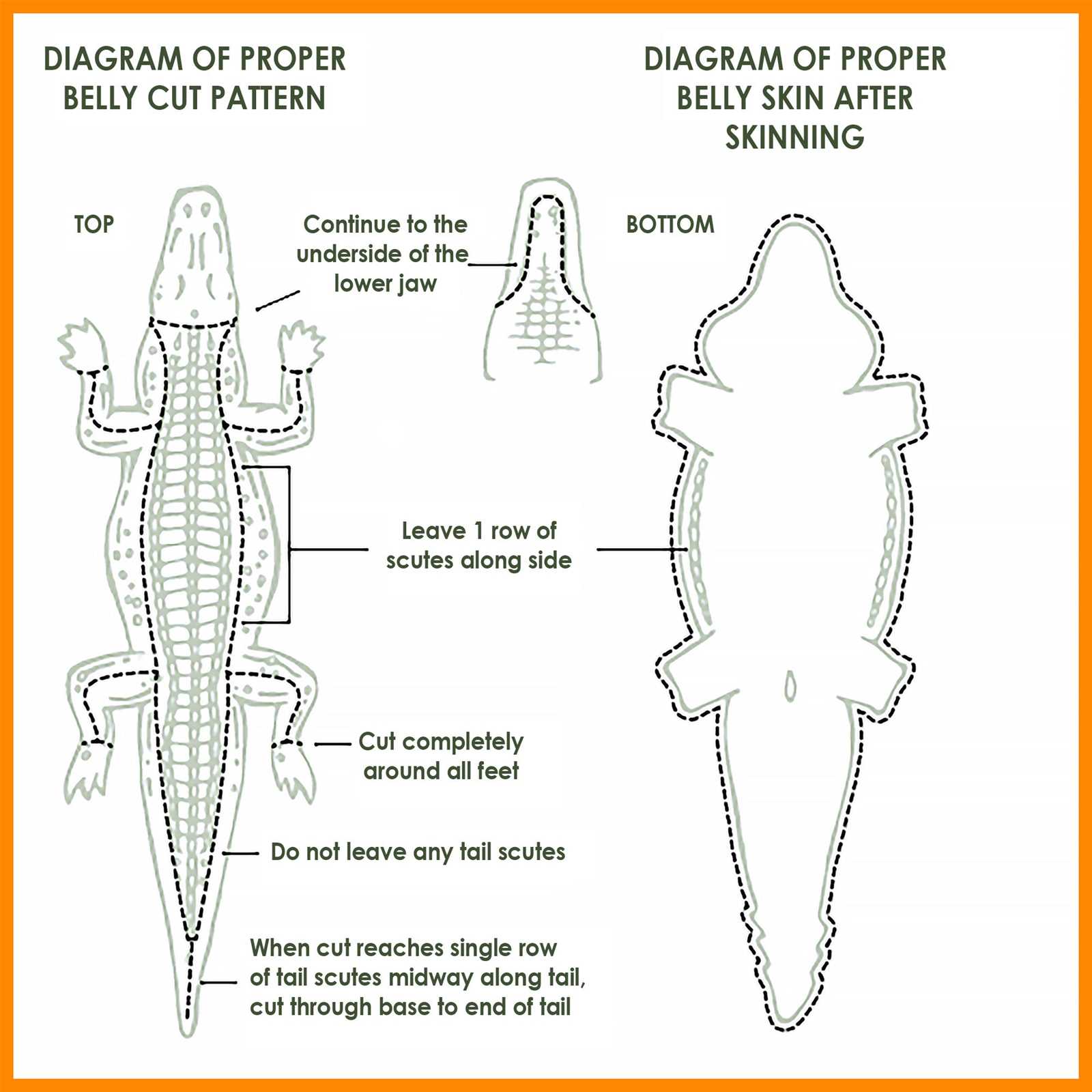 watch strap parts diagram