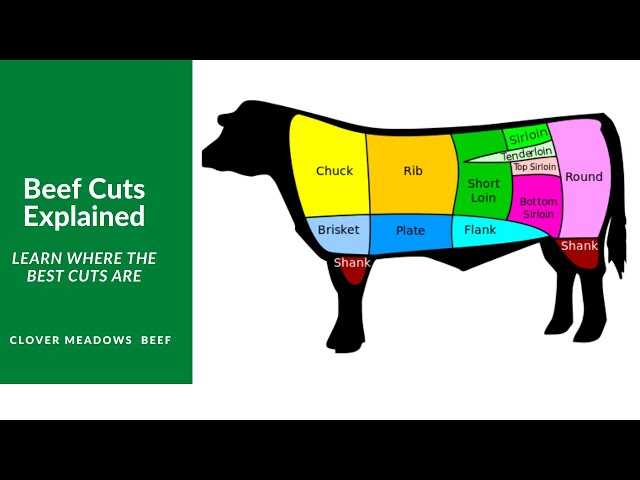 steak parts of cow diagram