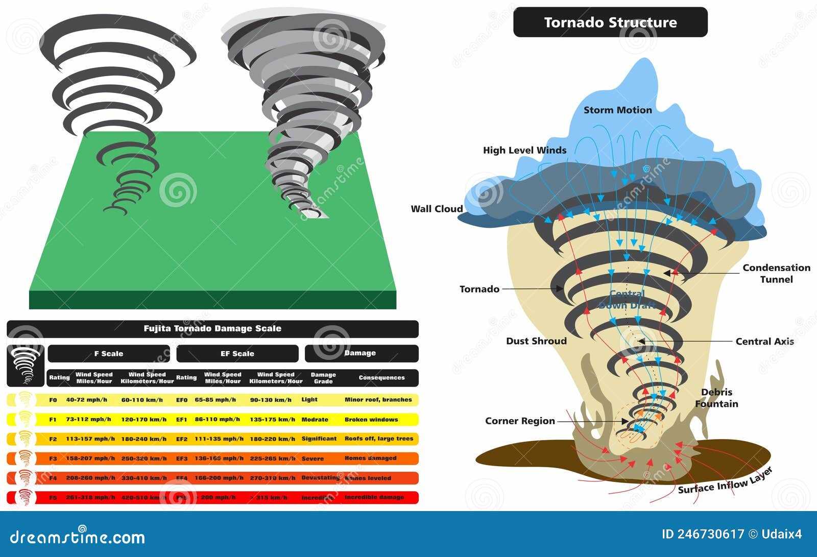 western tornado parts diagram