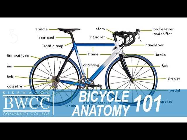 road bike parts diagram