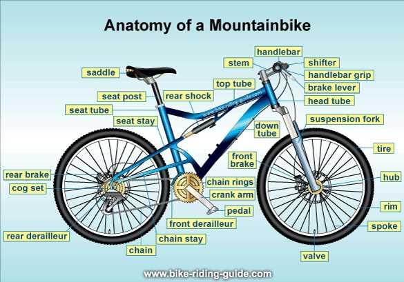 trek mountain bike parts diagram