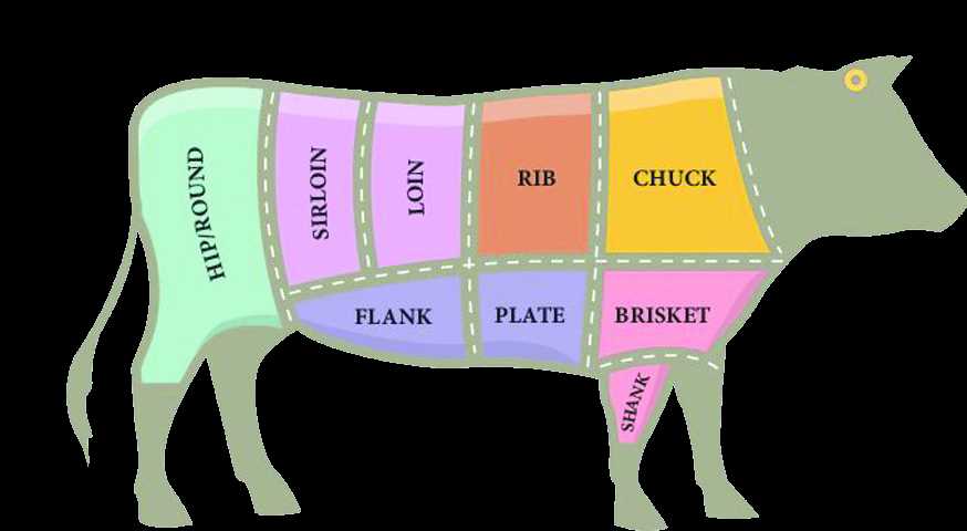 steak parts of cow diagram