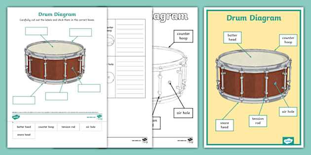 snare drum parts diagram