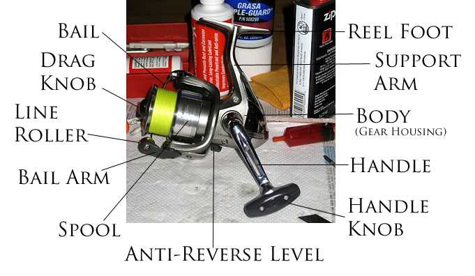 shimano spinning reel parts diagram