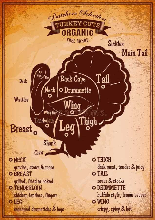 parts of a turkey diagram