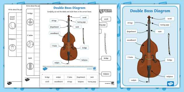 upright bass parts diagram