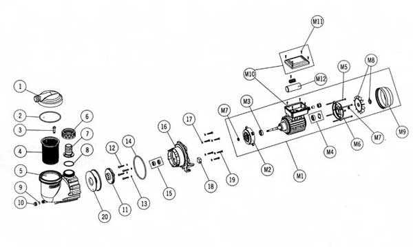 pool pump parts diagram